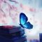 Blue Butterfly Live Wallpaper