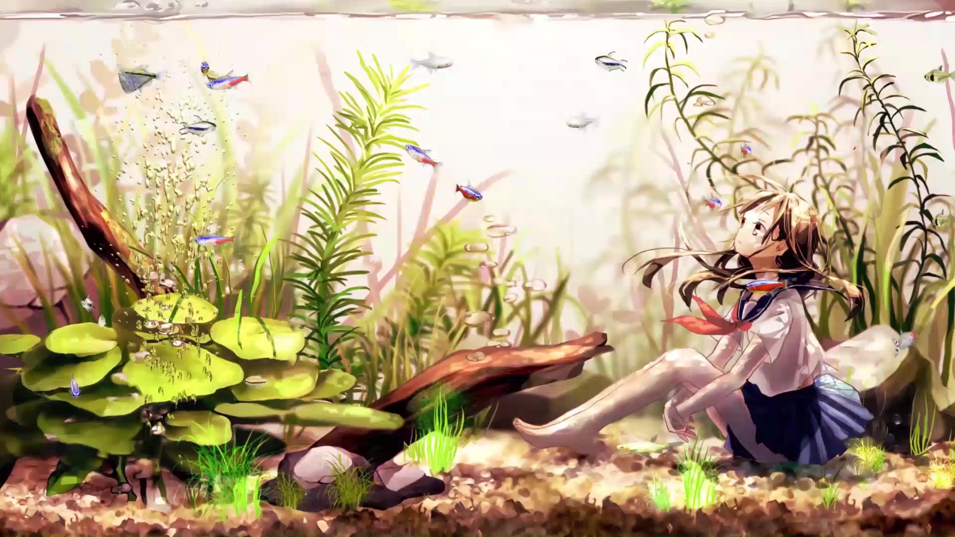Anime Girl Inside Aquarium Live Wallpaper - WallpaperWaifu