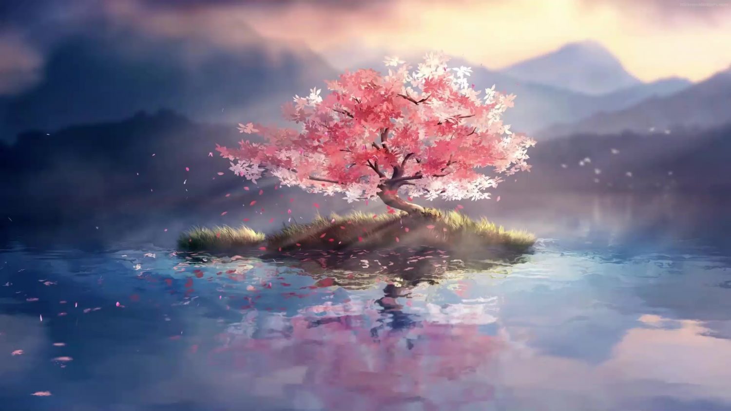 Lone Cherry Blossom Tree Live Wallpaper - WallpaperWaifu