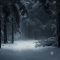 Forest With Snow in Winter Live Wallpaper