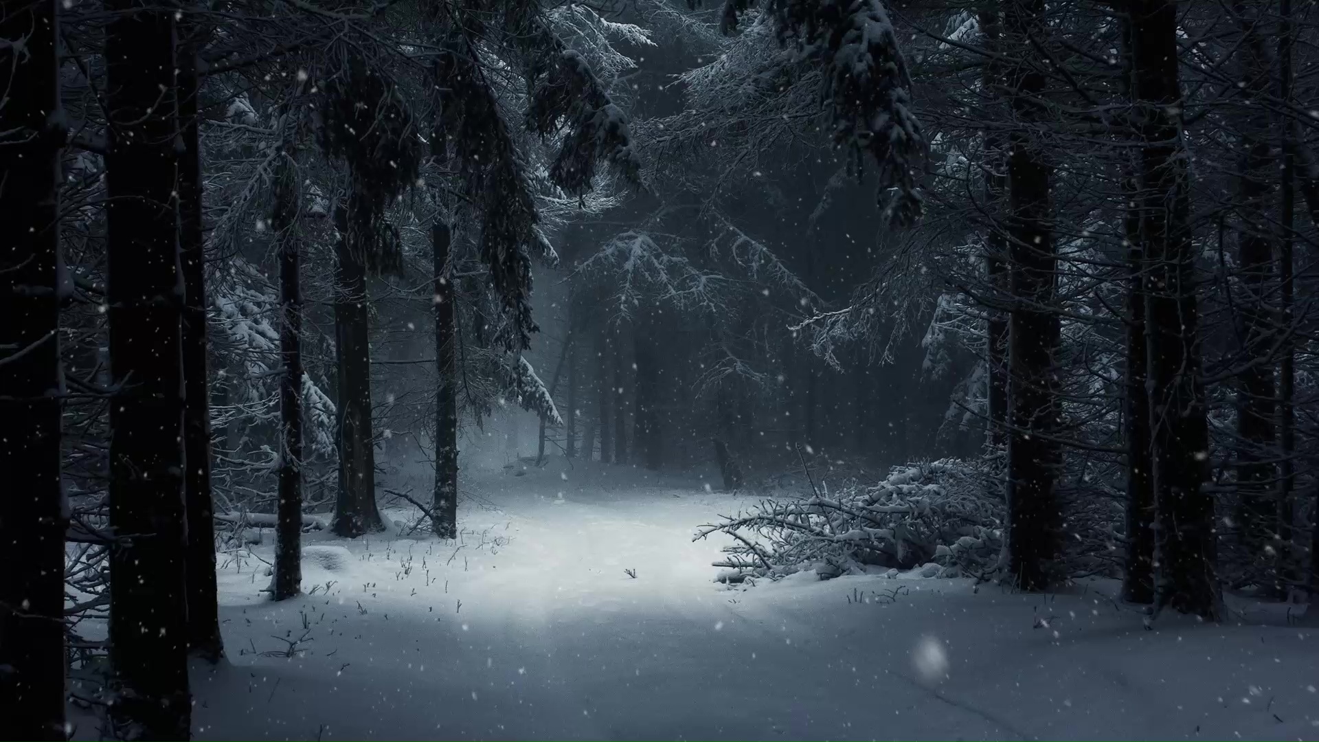 Forest With Snow In Winter Live Wallpaper - WallpaperWaifu