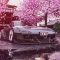 Mazda RX-7 Cherry Blossom Live Wallpaper