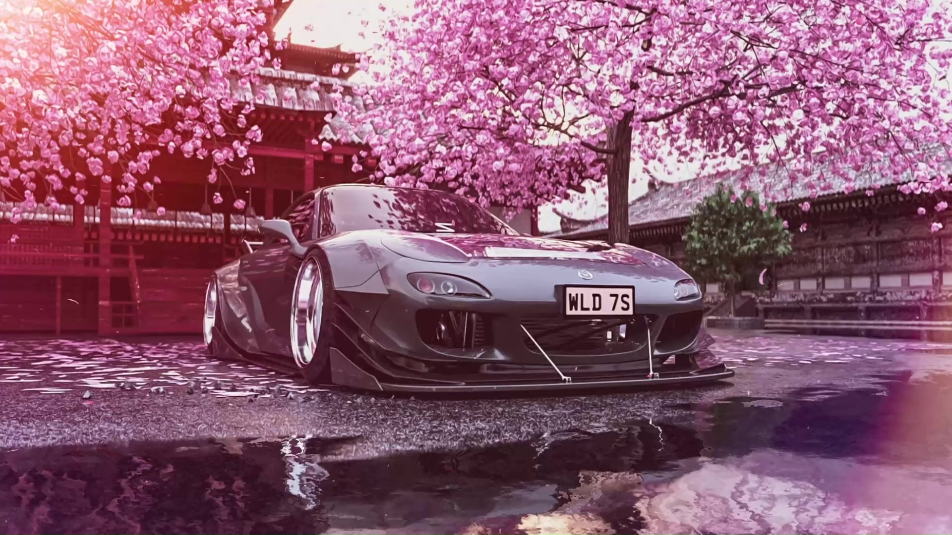 Rx7 Cherry Blossom Wallpaper Carrotapp