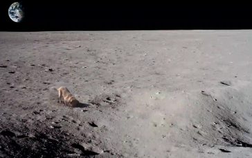 Dog-on-moon-digging-holes-thumb