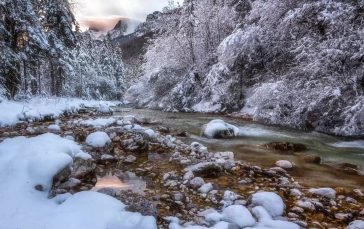 River-in-winter-forest-thumb