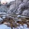 River In Winter Forest Live Wallpaper