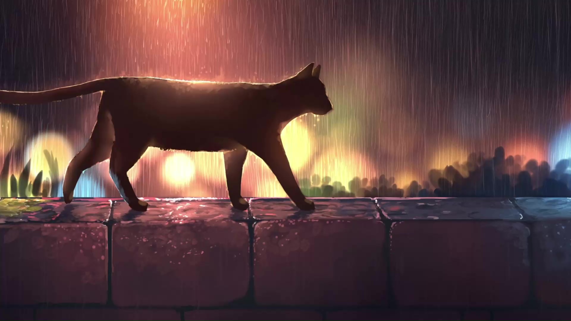 Black Cat Walking In The Rain Live Wallpaper - WallpaperWaifu