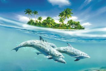 Dolphins-under-island-thumb