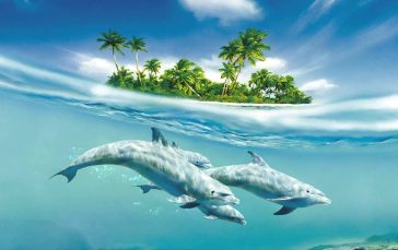 Dolphins-under-island-thumb