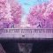 Anime Couple On Bridge With Cherry Blossom Live Wallpaper