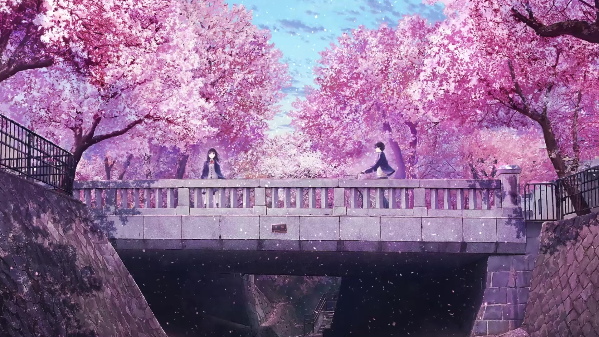 Anime Couple On Bridge With Cherry Blossom Live Wallpaper for your desktop ...