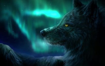 Aurora-borealis-wolf-thumb