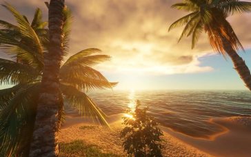 Tropical-island-sunset-beach-with-palm-trees-thumb