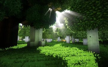 Minecraft Sun Rays In The Forest thumb