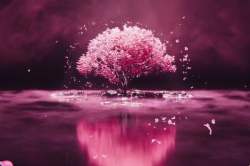 Falling Cherry Blossom thumb