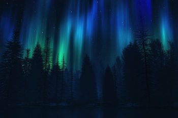 Aurora Borealis Night Forest thumb