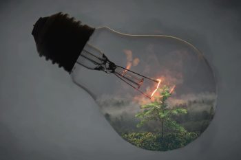 Tiny Nature in Light Bulb thumb