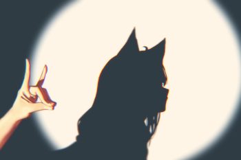 Shirakami Fubuki Shadow Puppet Virtual YouTuber thumb
