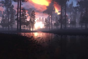 Morning In Forest thumb